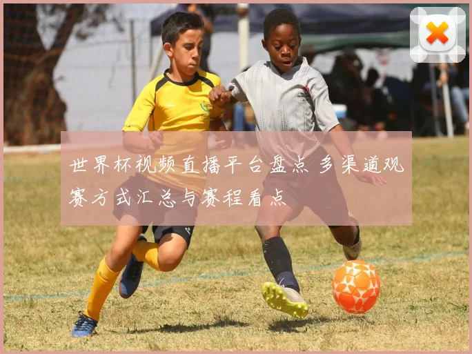 世界杯视频直播平台盘点 多渠道观赛方式汇总与赛程看点