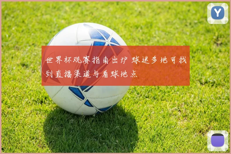 世界杯观赛指南出炉 球迷多地可找到直播渠道与看球地点